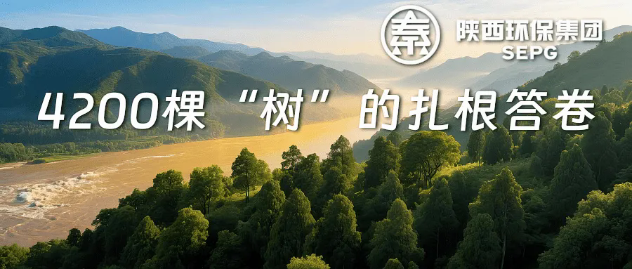 同向奔赴 共克時(shí)艱｜陜西環(huán)保集團(tuán)4200棵“樹(shù)”的扎根答卷